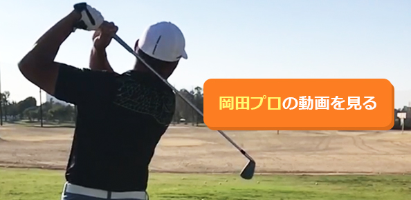 >岡田 裕弥プロフィール画像